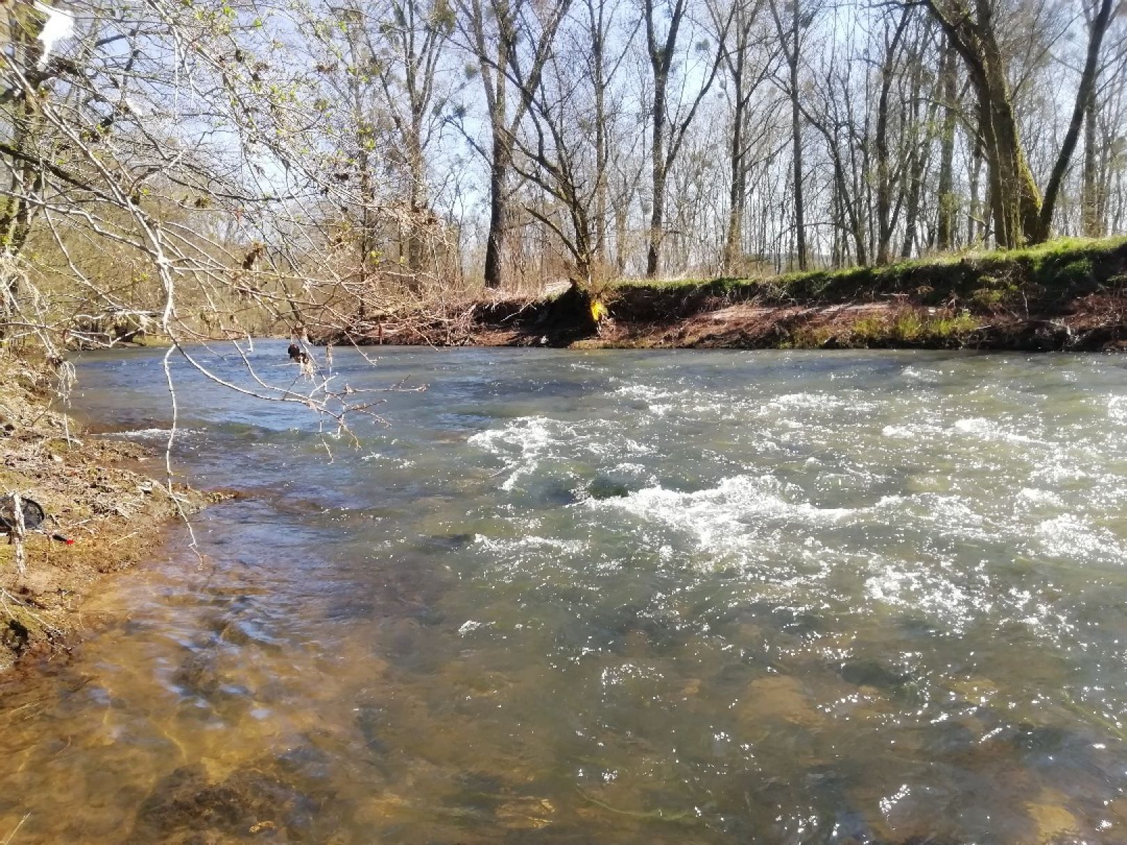 Blies (Bliesransbach) angeln