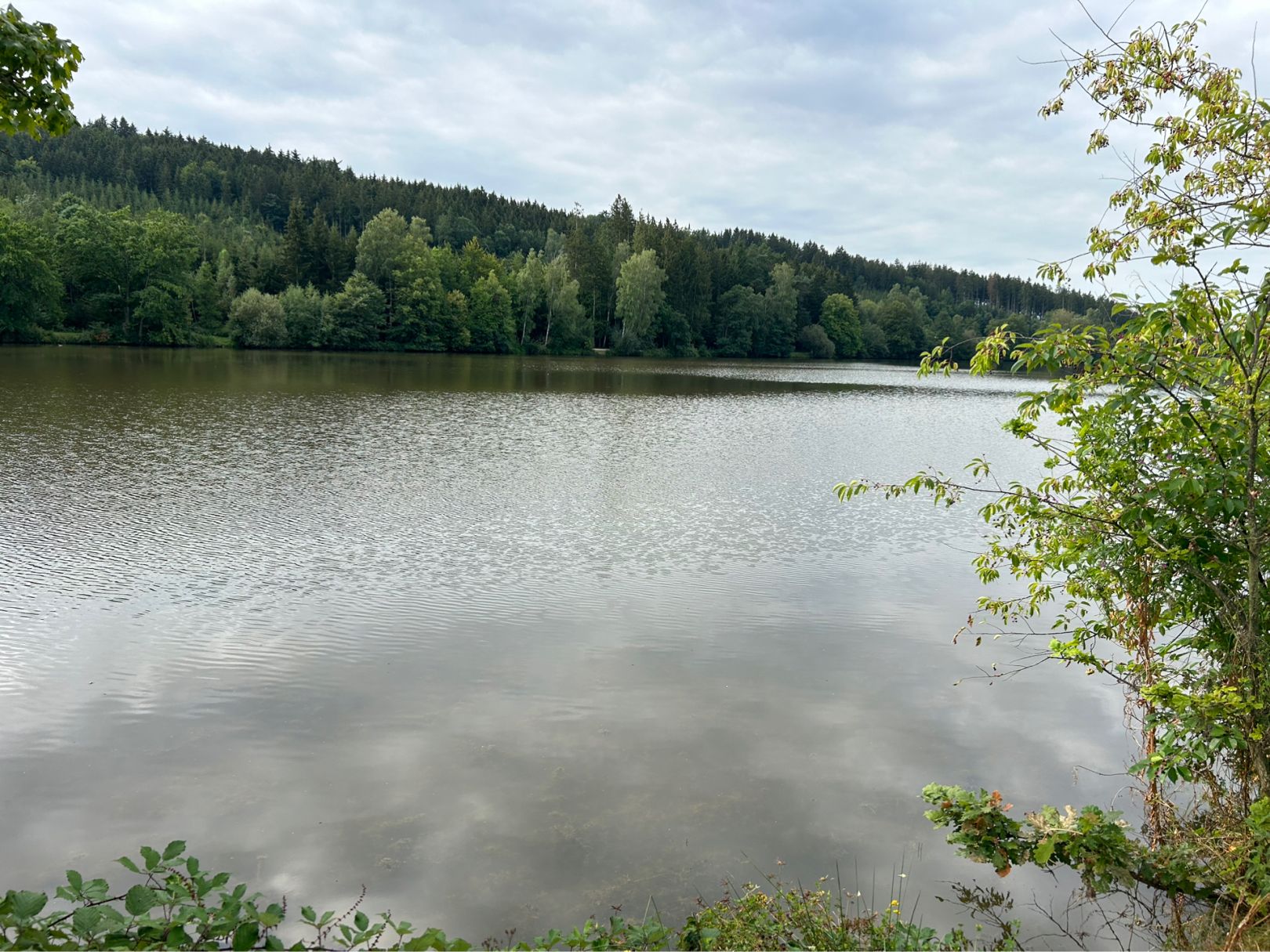 Häslestausee angeln