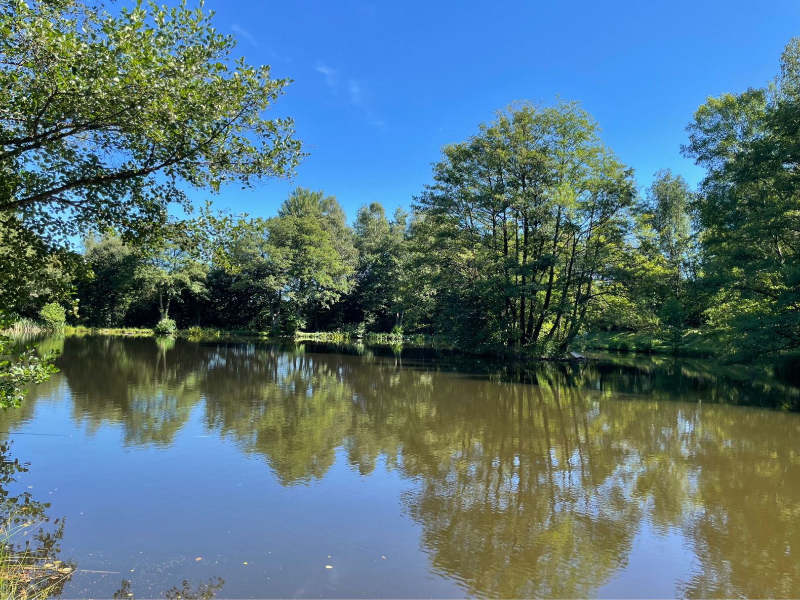 Weiher Beuren angeln