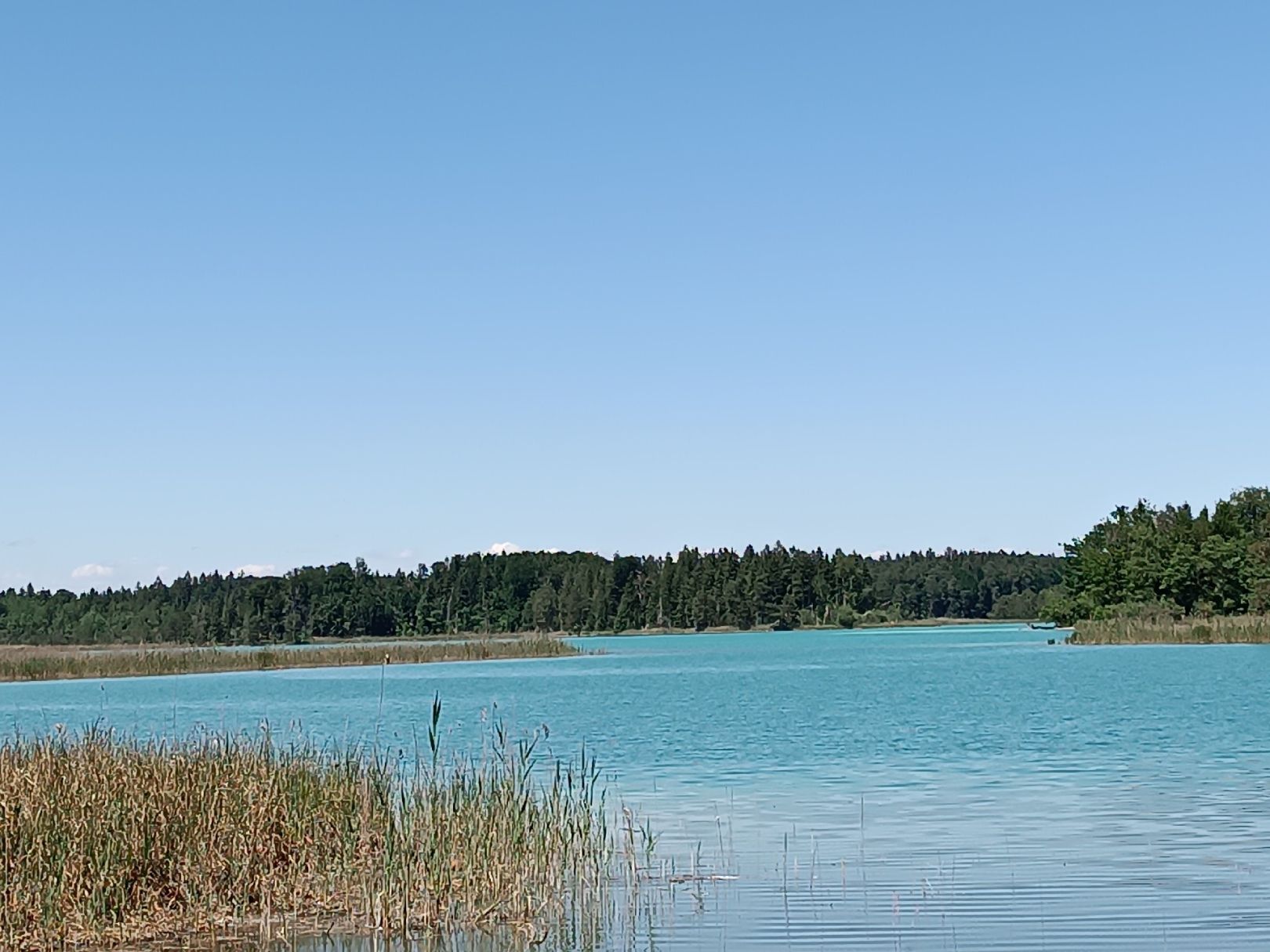 Großer Ostersee (Iffeldorf) angeln