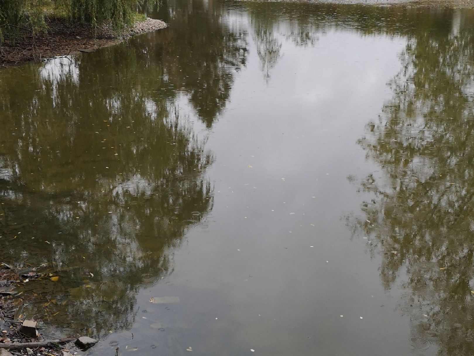 Kahnweiher (Waldfeucht) angeln