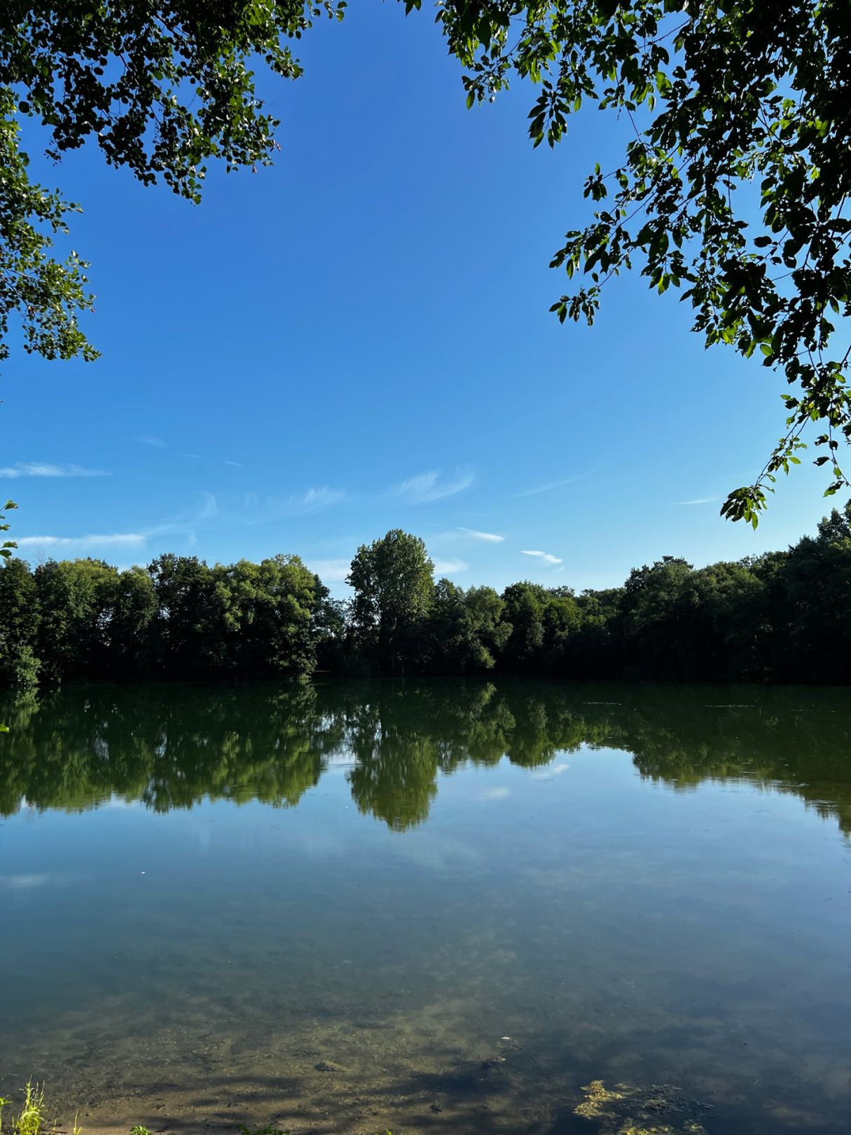 Alter Mühlensee (Rudolphisee) angeln