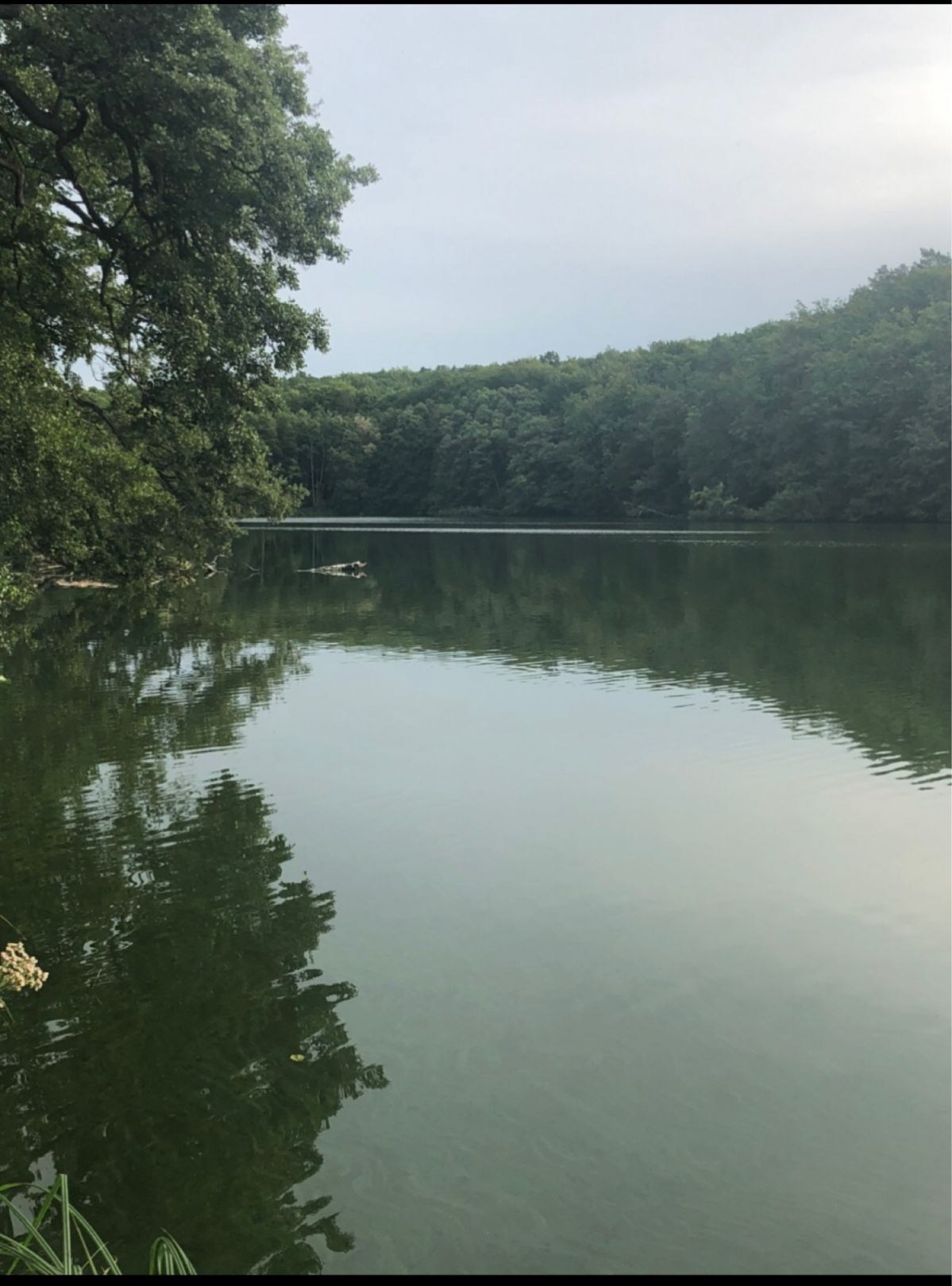 Hammersee (Siehdichum) angeln