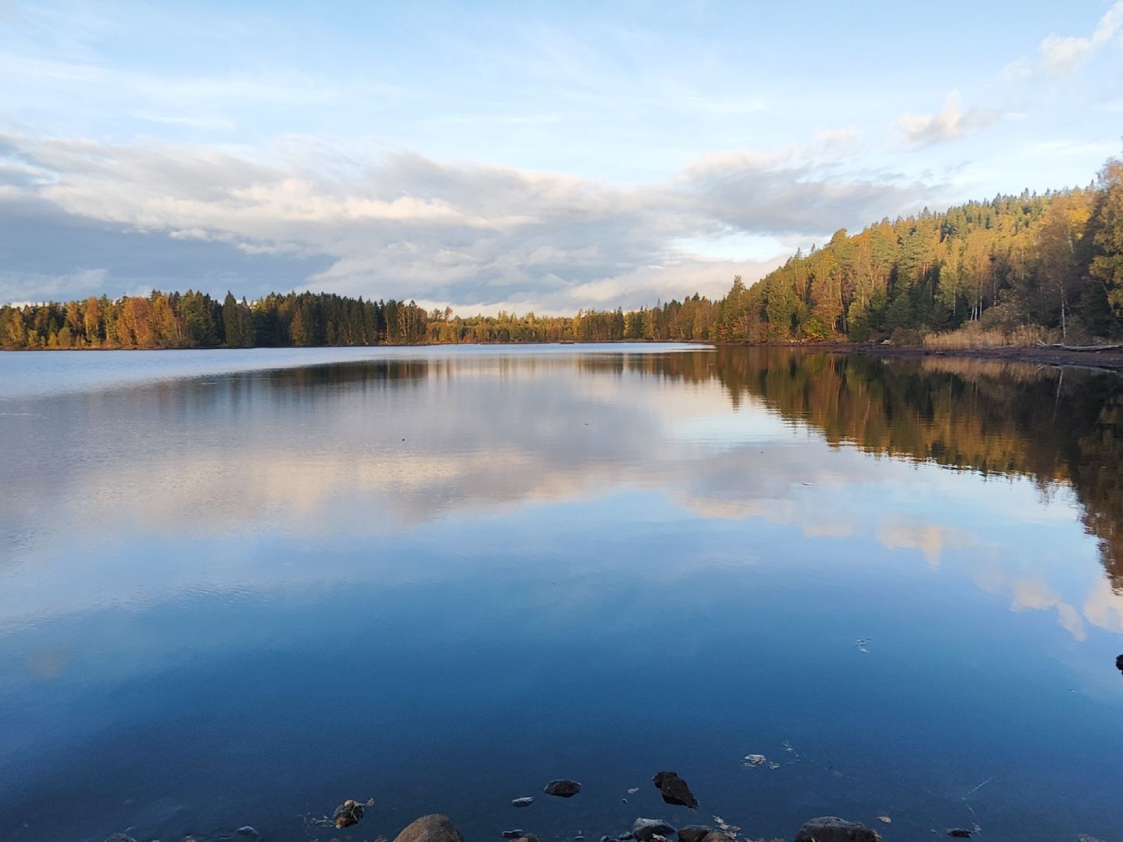 Kalvsjön angeln