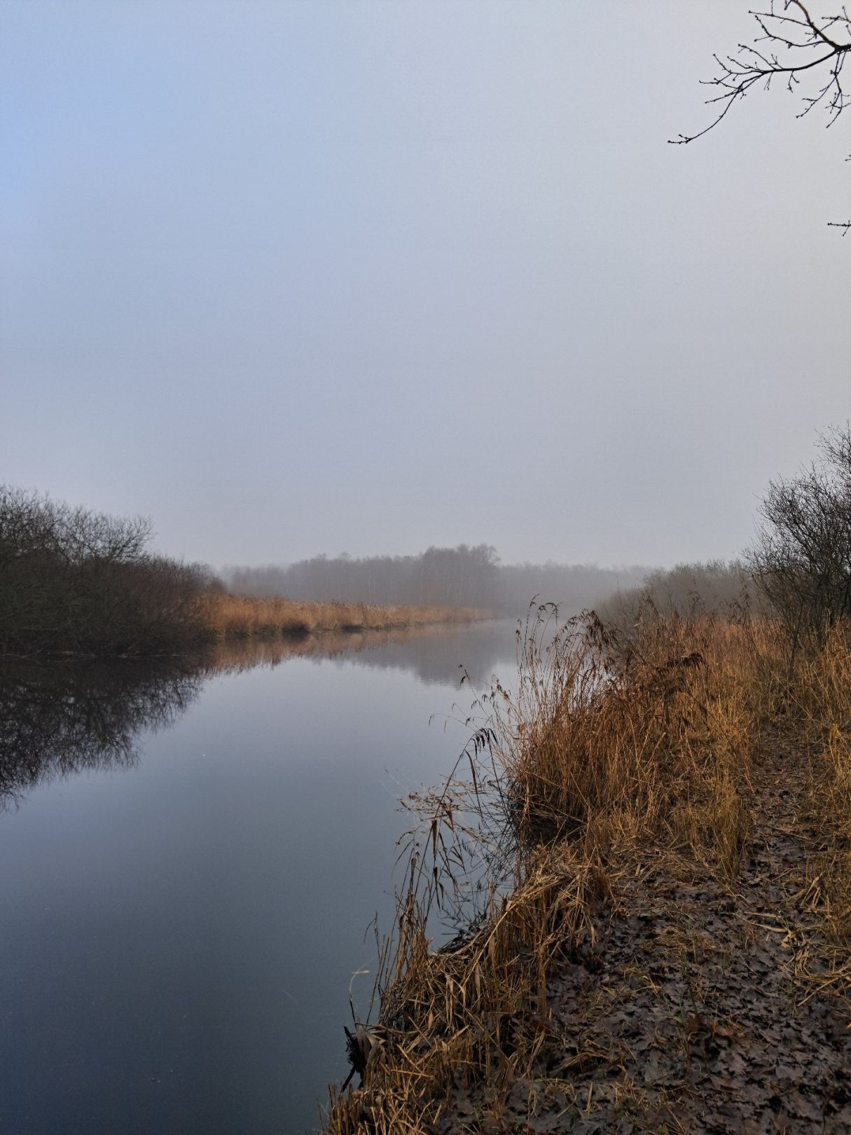 Seekanal Sellstedt angeln