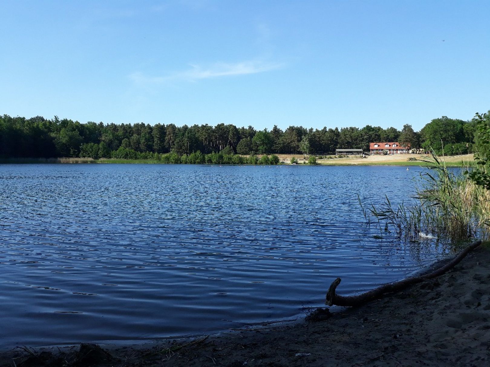 Friedensteich (Wittenberge) angeln