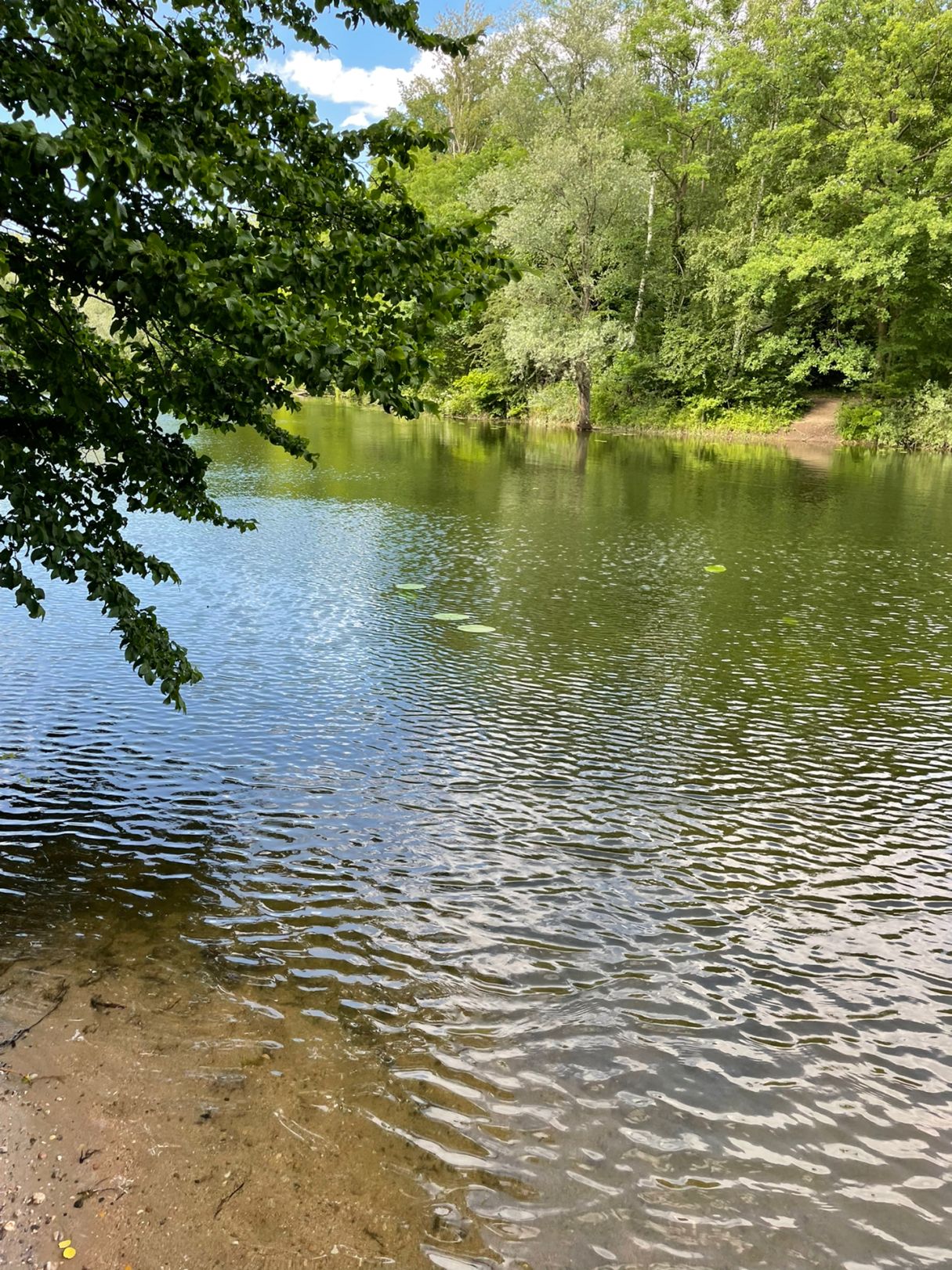 Oberwaldsee (Karlsruhe) angeln