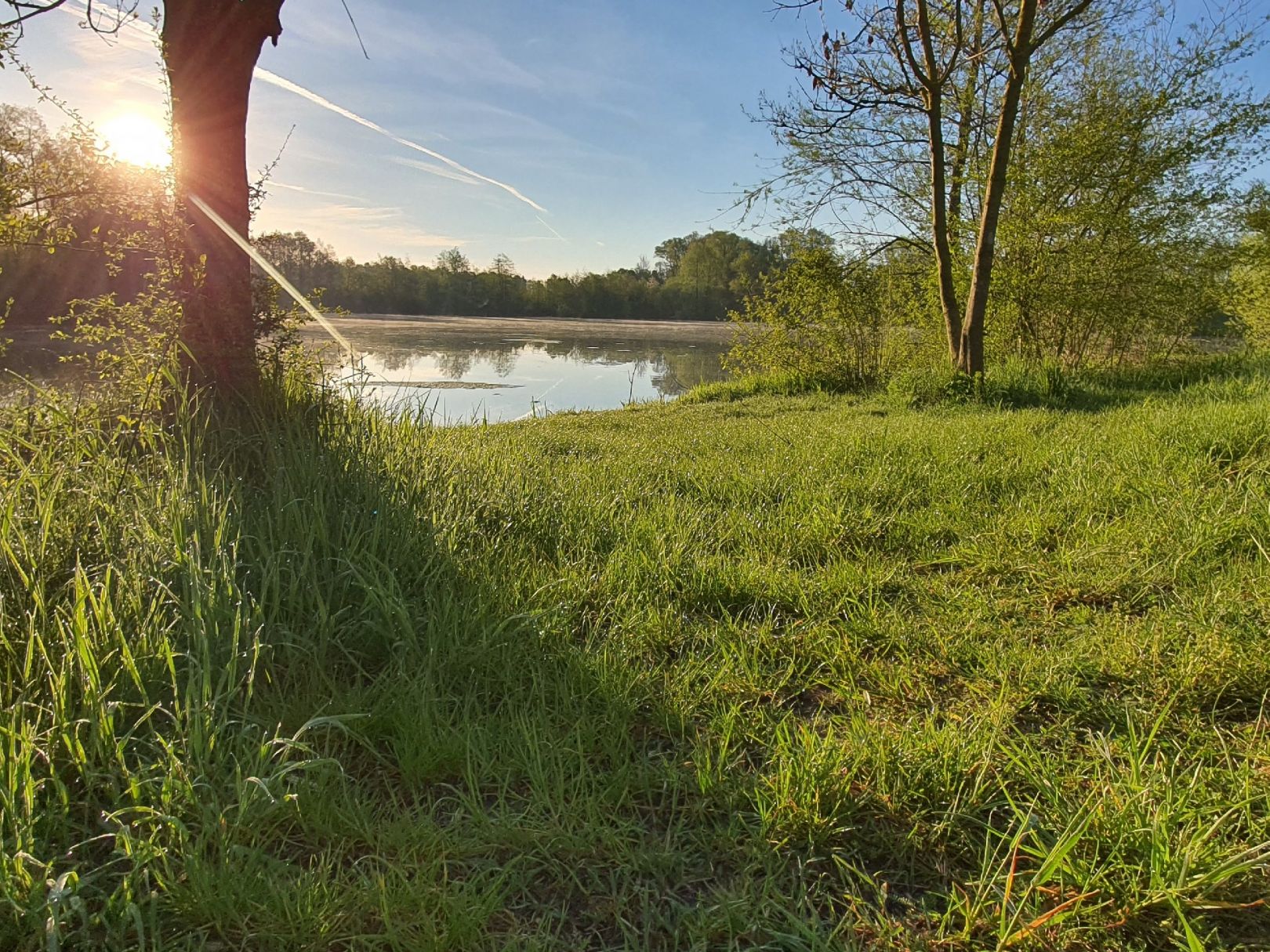 Rottersdorfer Weiher angeln