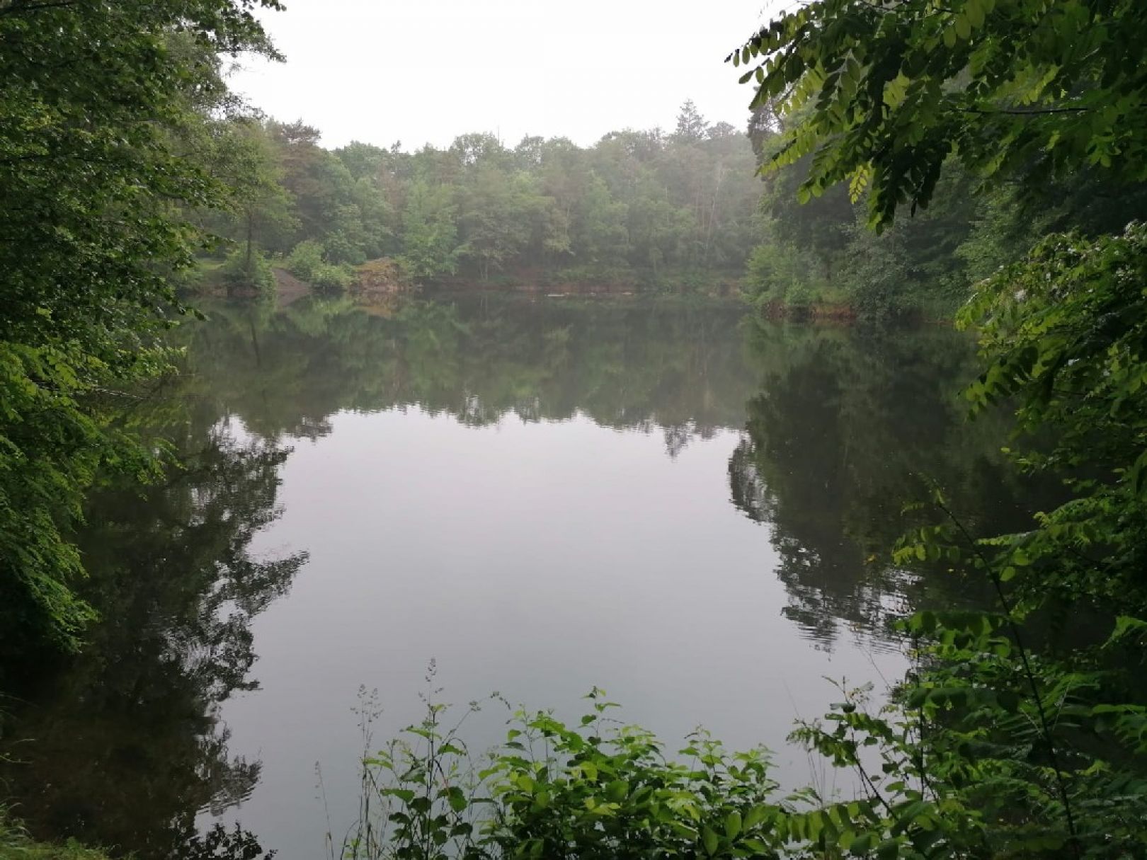 Waldsteinbruch Hundisburg angeln