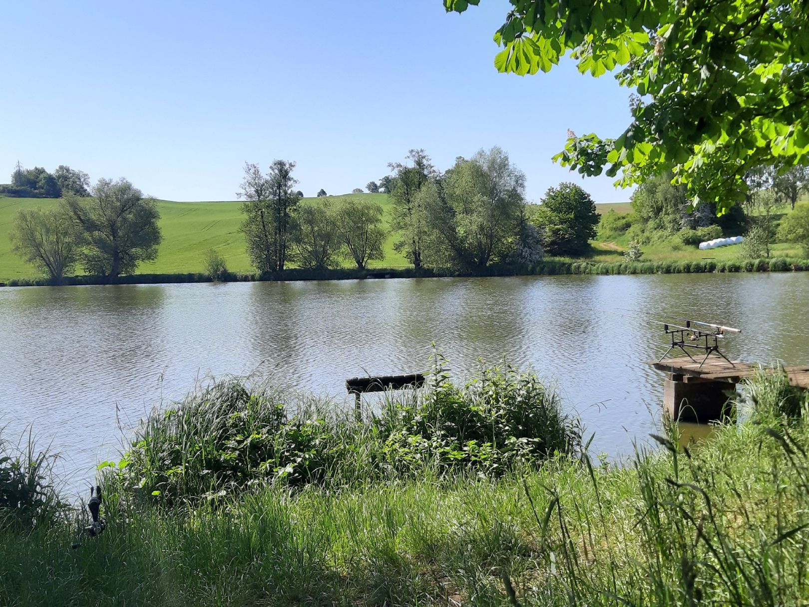 Zipfelteich (Görkwitz) angeln