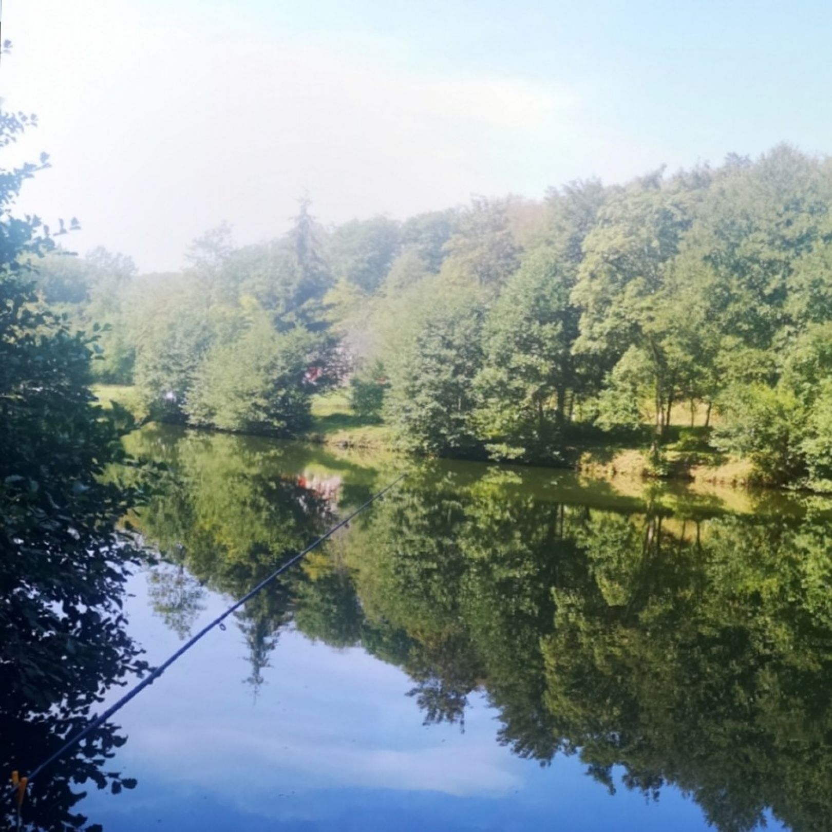 Schwellengrund Weiher angeln