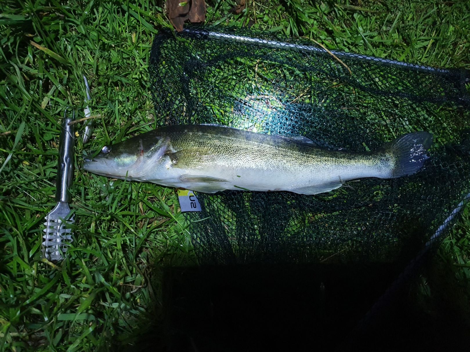 Moddergraben (Stichkanal Klein Köris) angeln