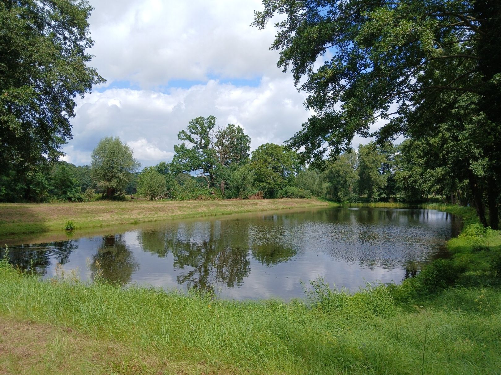 Margaretenhofteich angeln