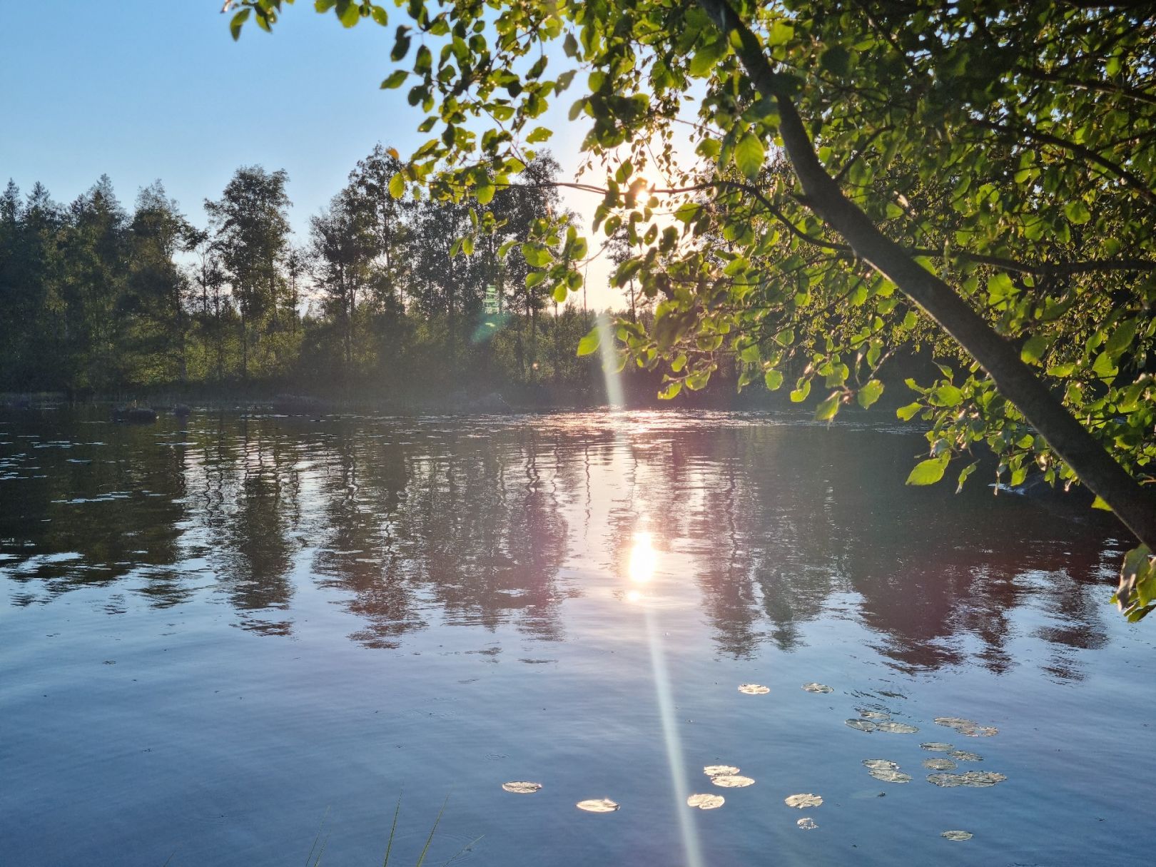 Skärsjön angeln