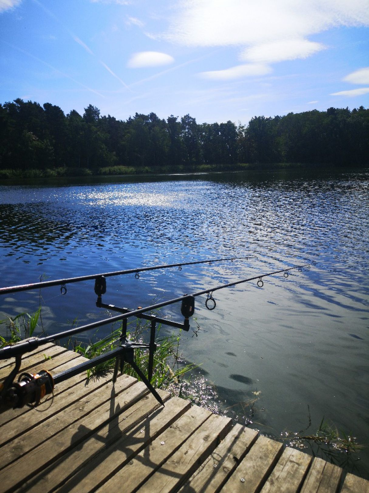 Angeln in Am Mellensee