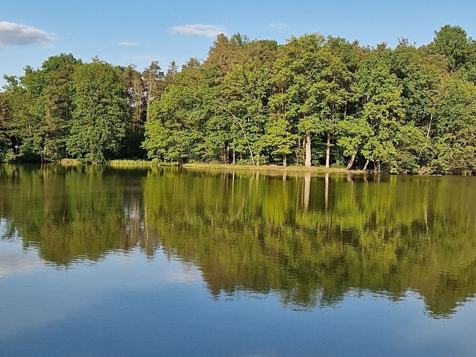 Schneidersweiher (Eckental) angeln