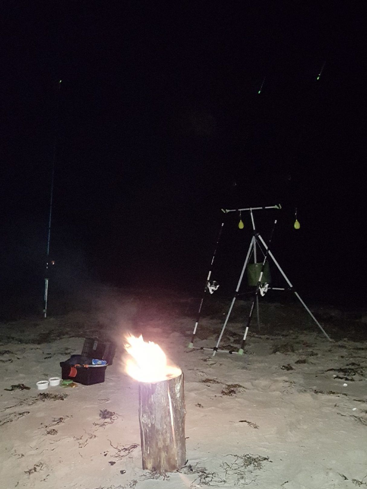 Diernæs Strand angeln