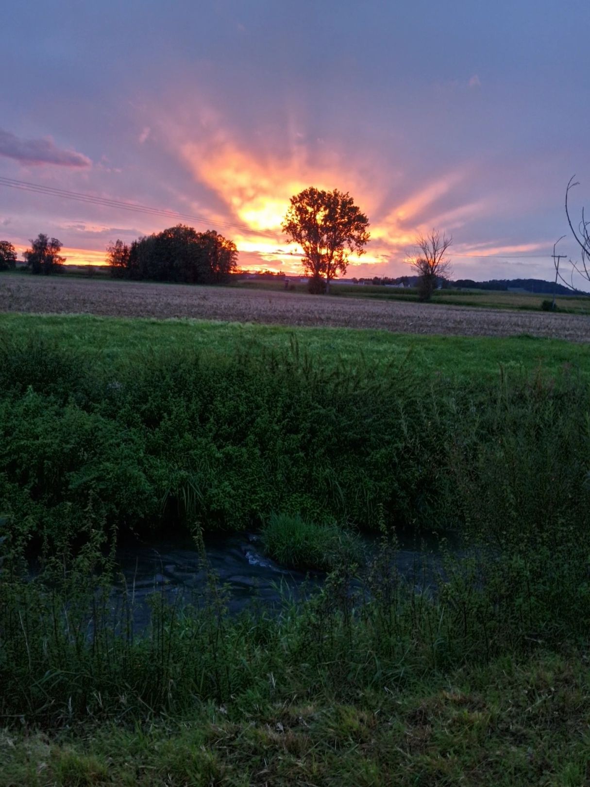 Angeln in Dinkelscherben