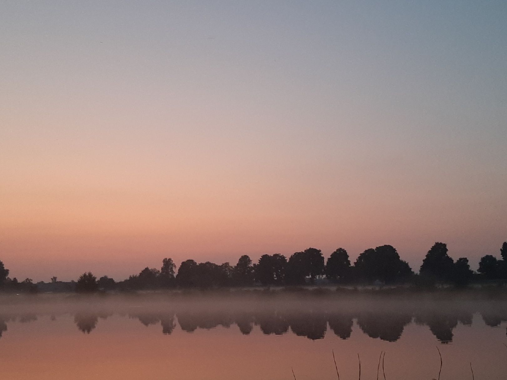 Siedenburger Teich angeln