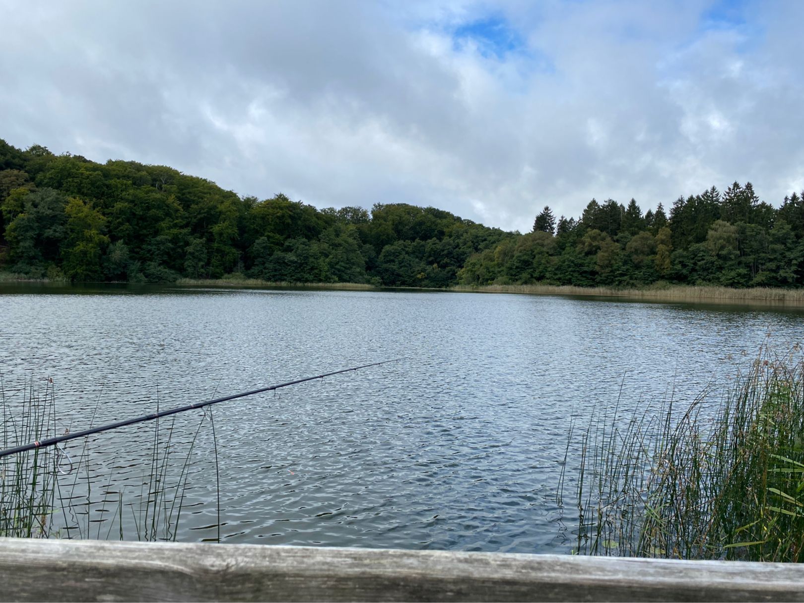 Kreutzsee (Klein Vielen) angeln