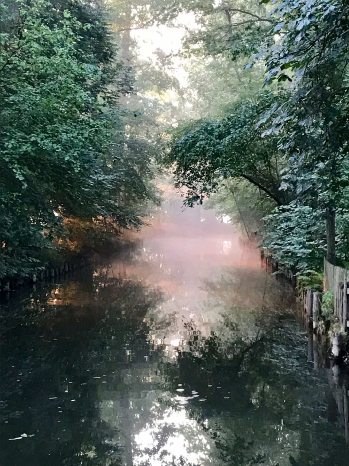 Spree (Burg/Spreewald) angeln