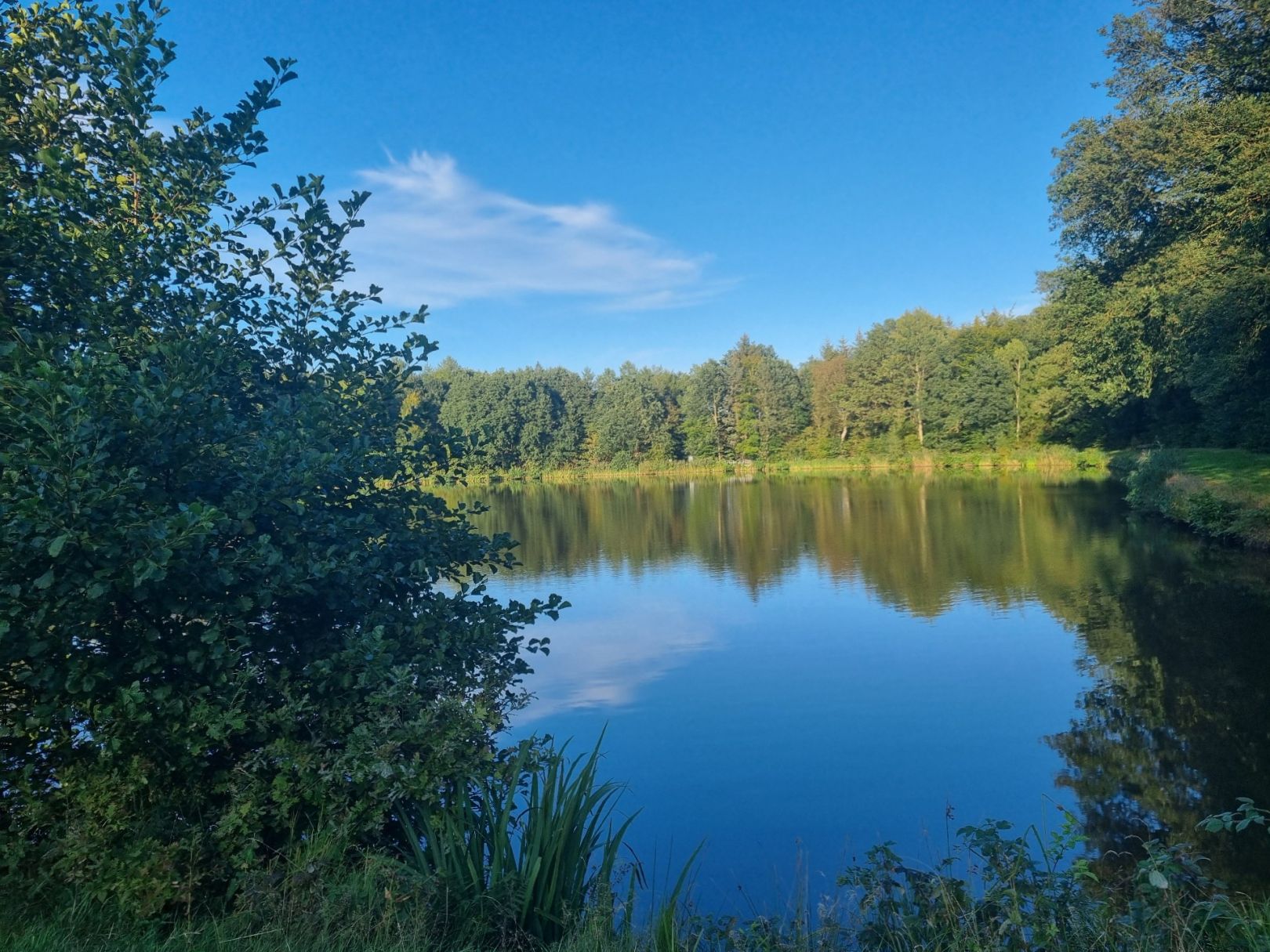 Rehersteiche (Hademarschen) angeln