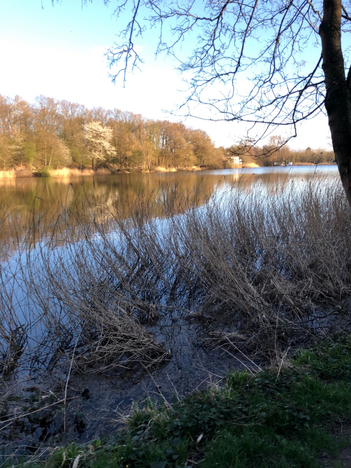 Cappenberger See angeln