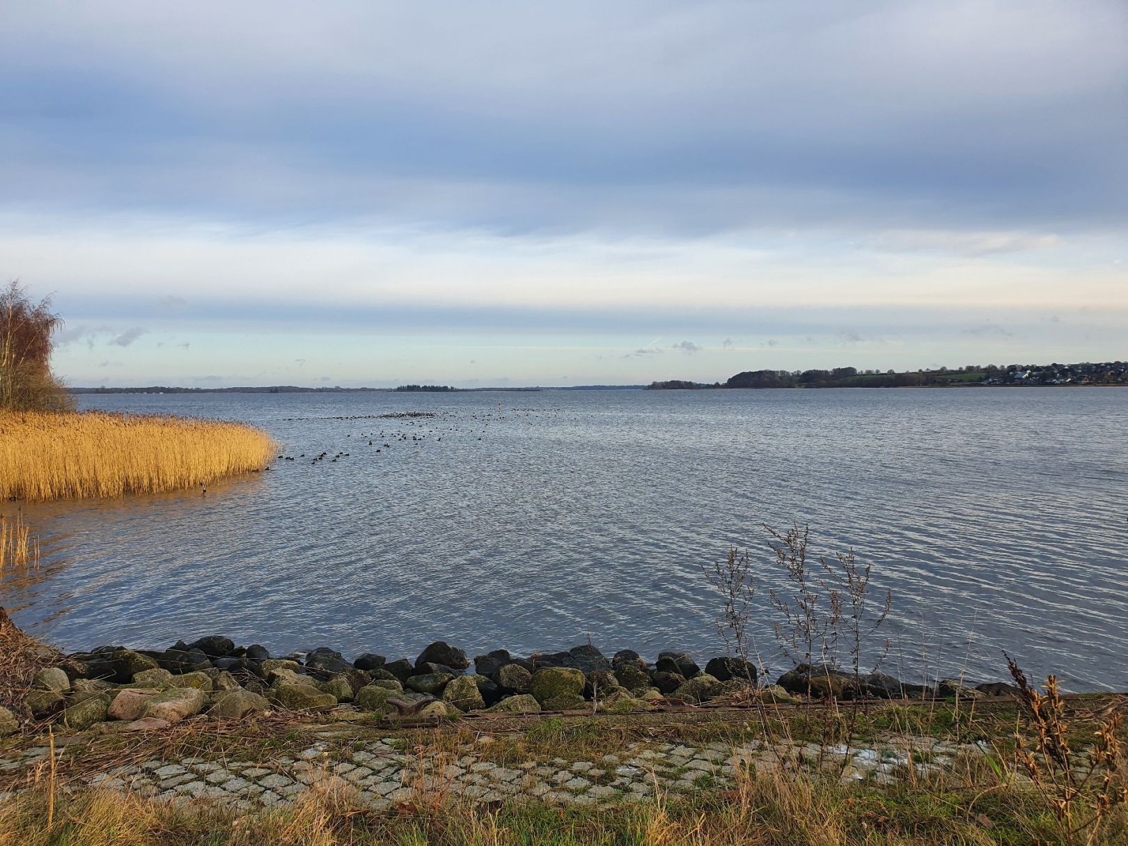 Kalundborg Fjord angeln