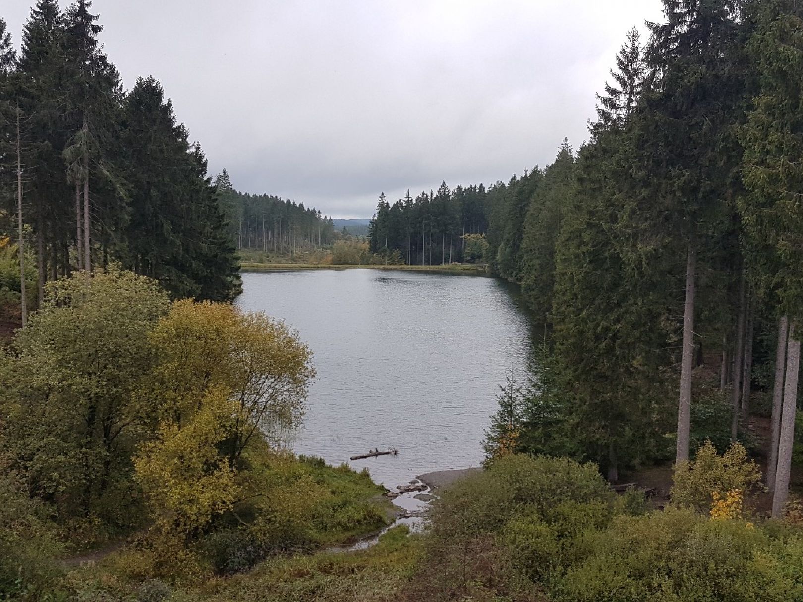 Mittlerer Grumbacher Teich angeln