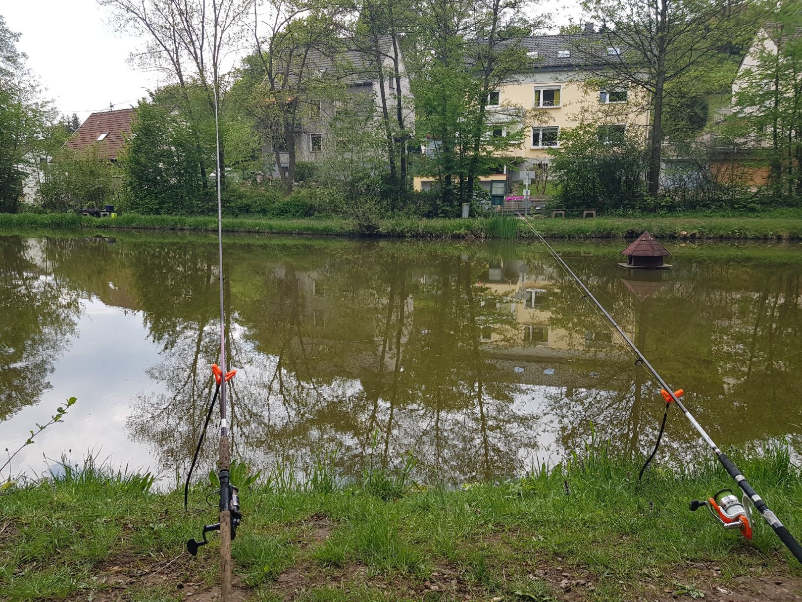 Vereinsgewässer ASV Ludweiler angeln