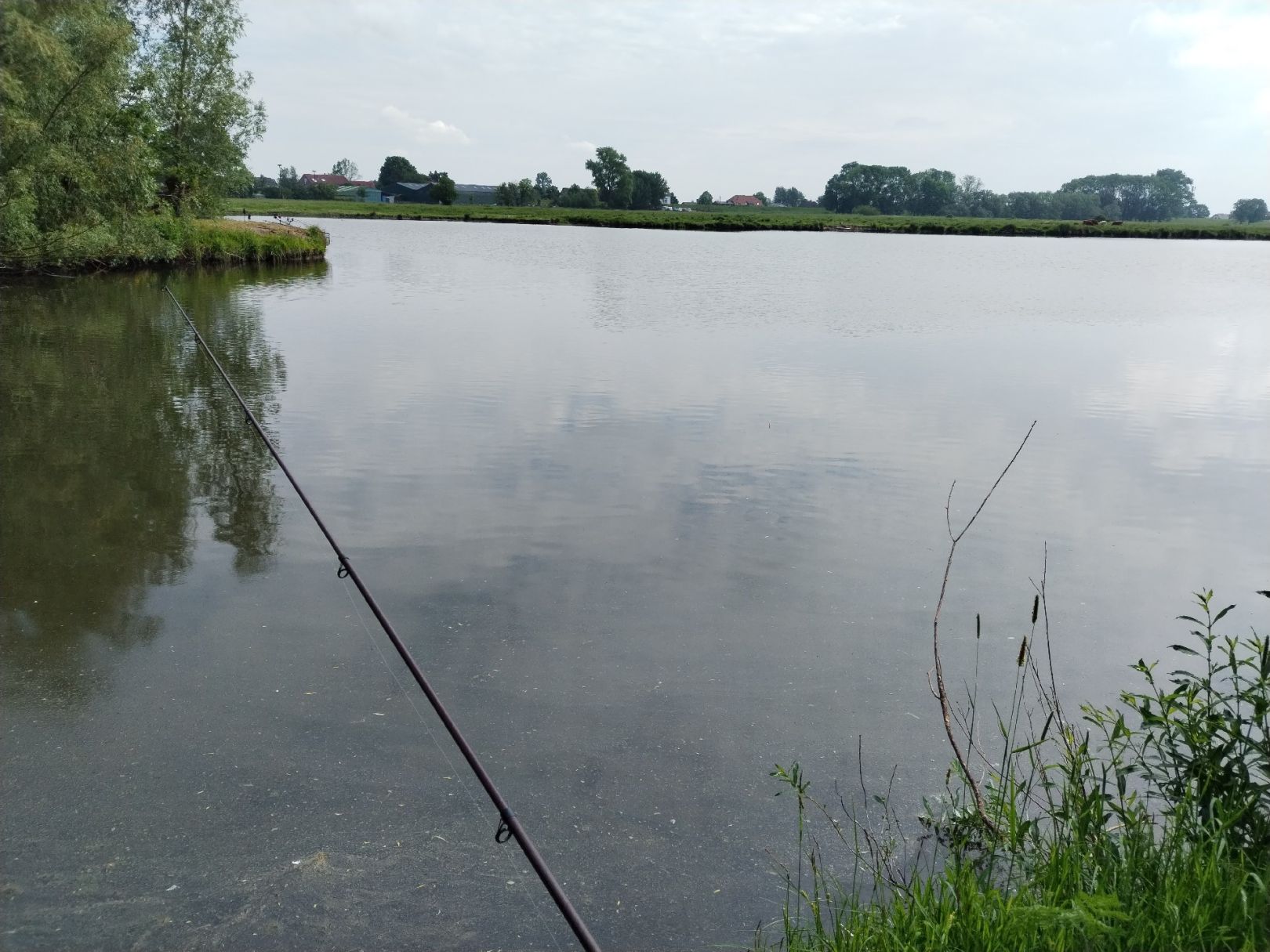 Neue Kuhle (Haseldorf) angeln