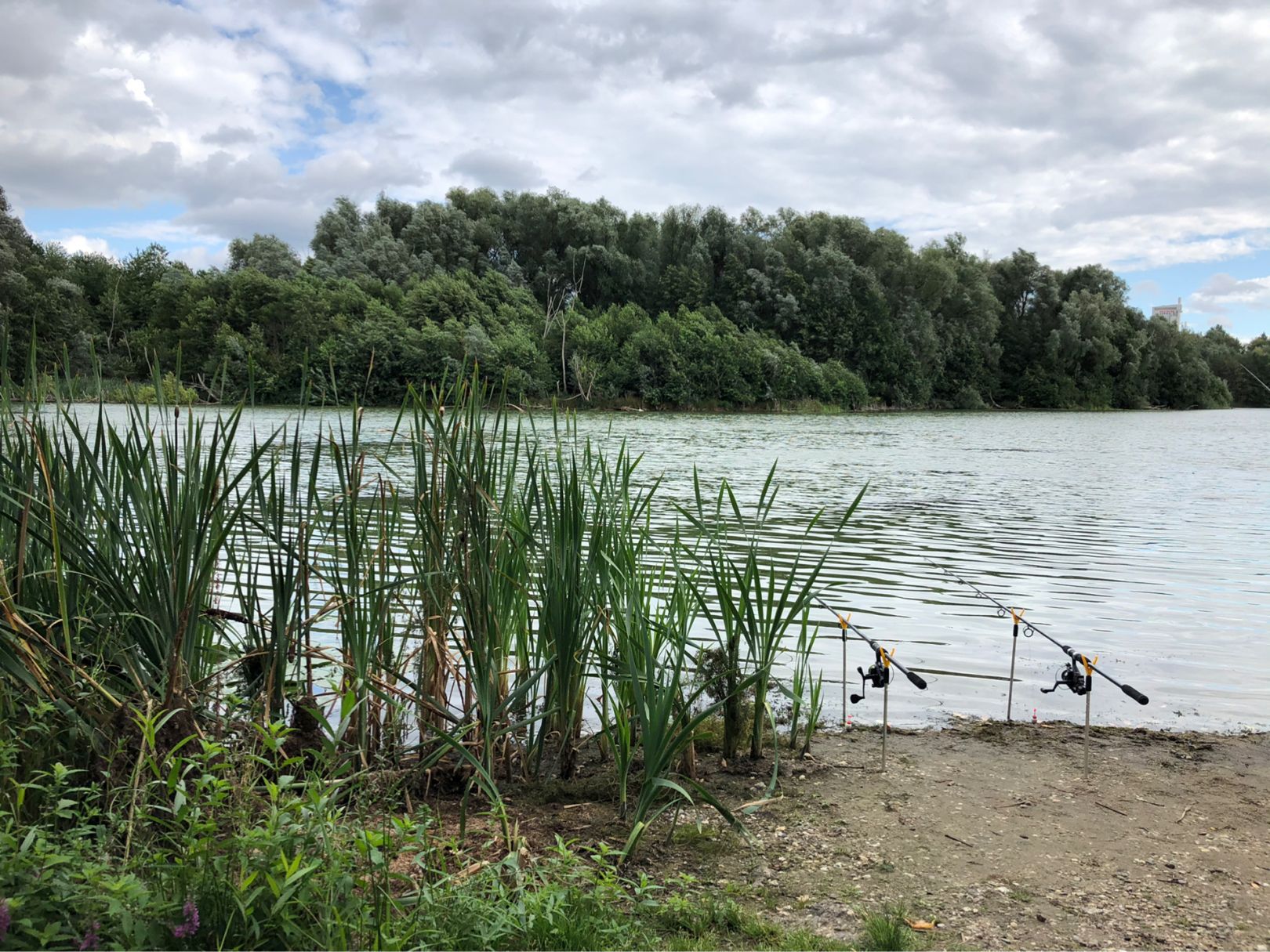 Richrather See (Baggersee Frisch) angeln