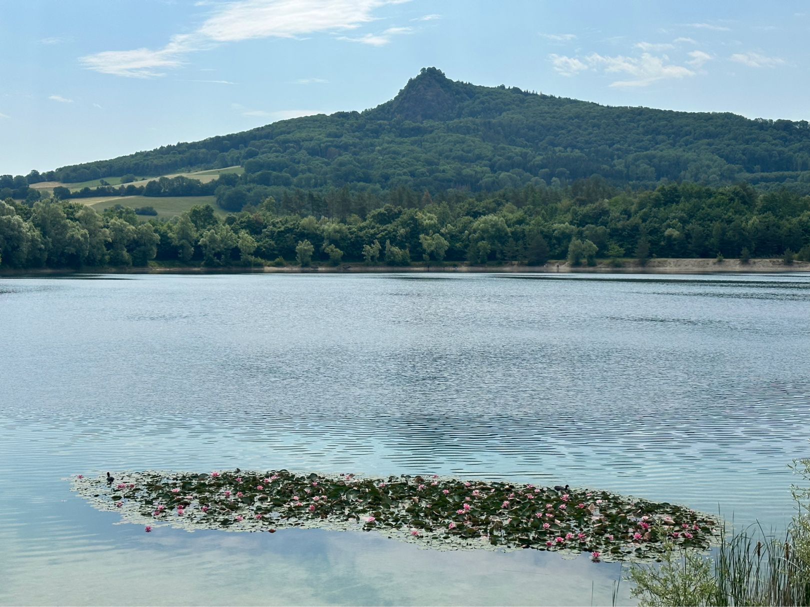 Binninger See angeln