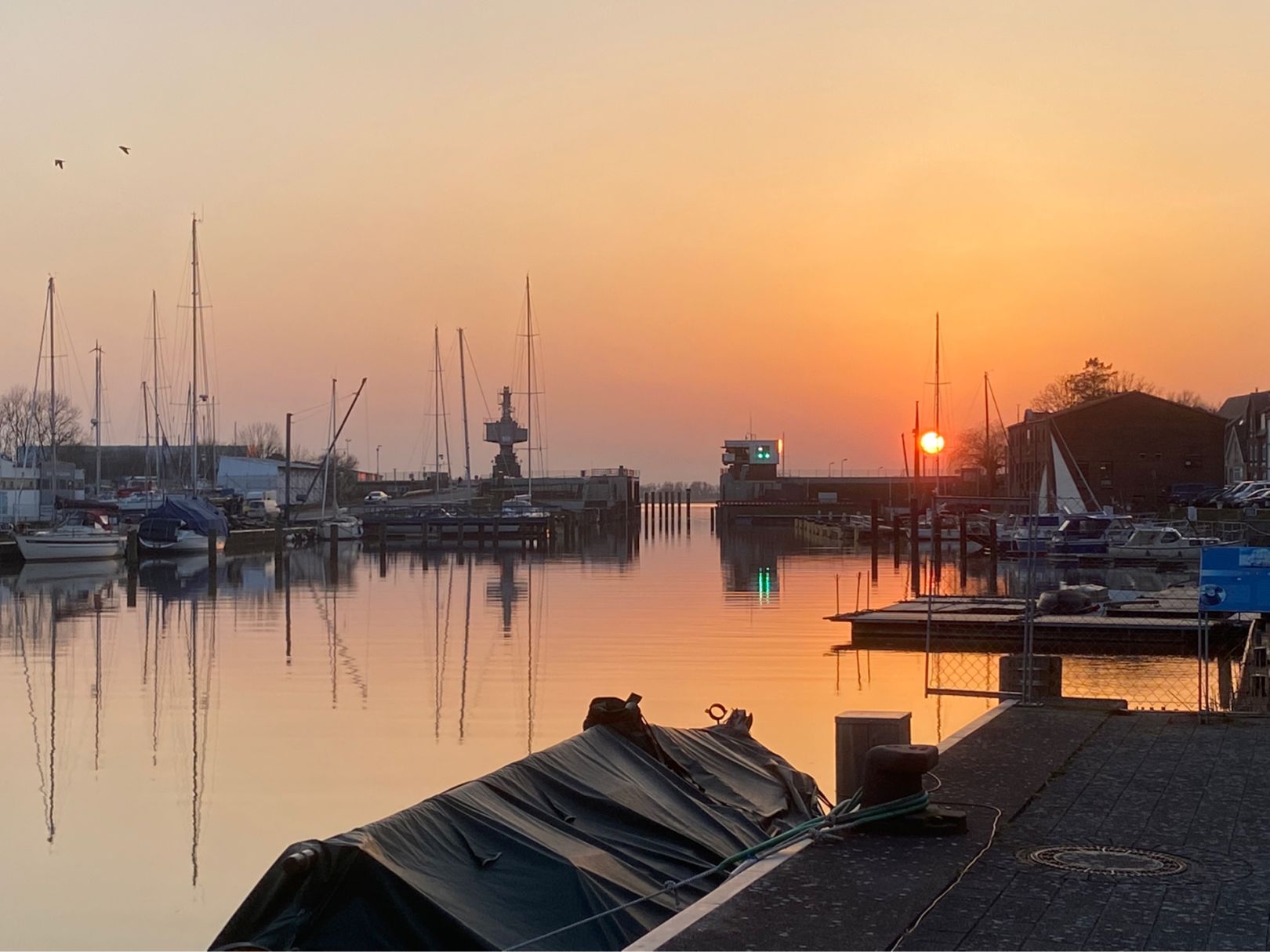 Hafen Glückstadt angeln