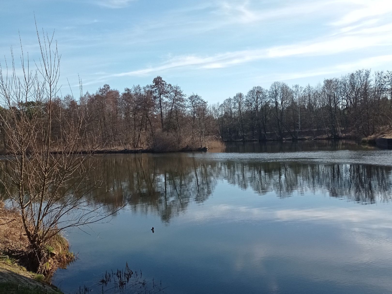 Angeln in Berkenbrück