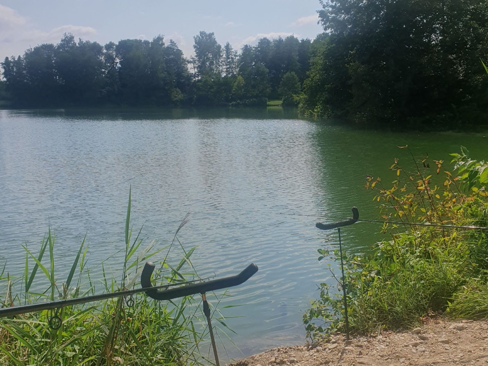 Fehmbacher Weiher angeln