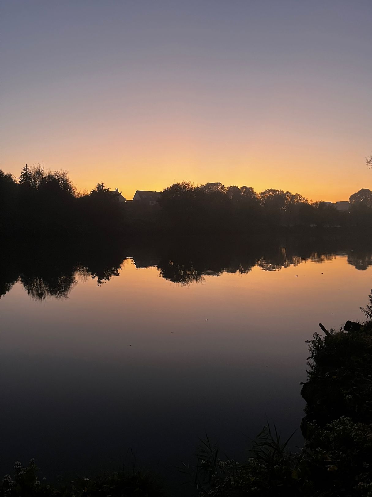 Neckarkanal Schwabenheim angeln