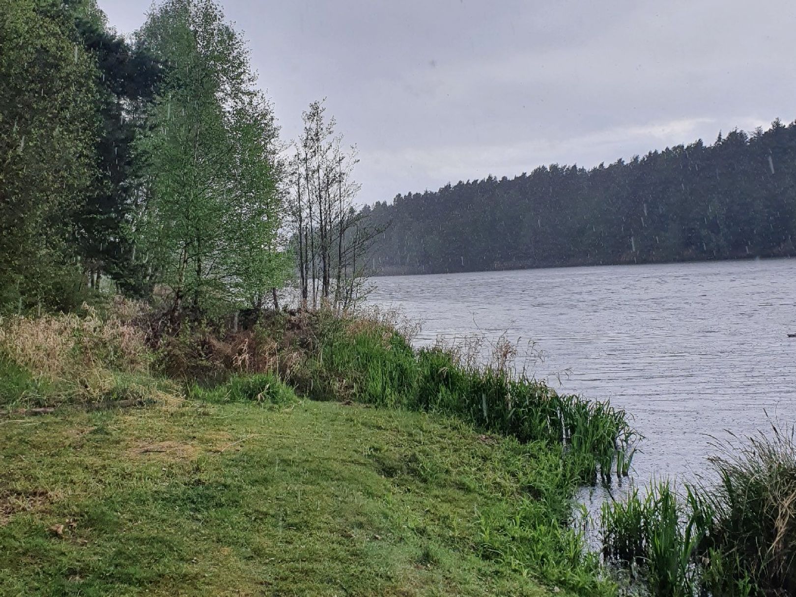 Stausee Dahlenberg angeln