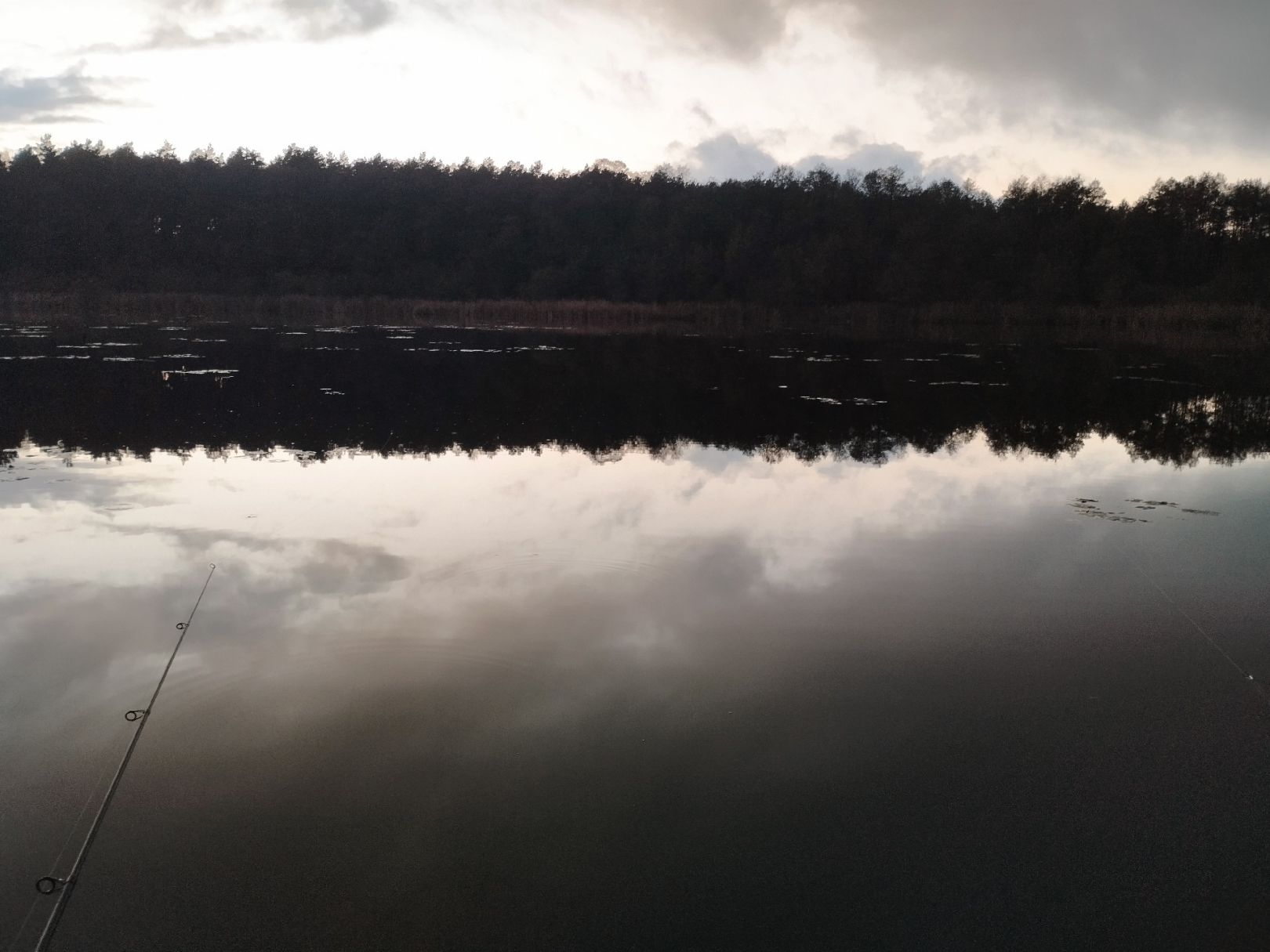 Blankenberger See angeln