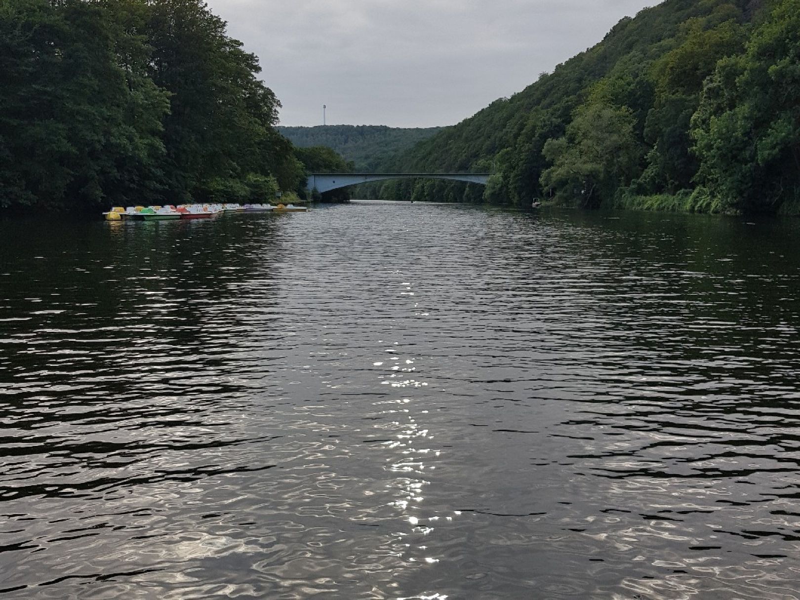 Ruhr (Hagen) angeln