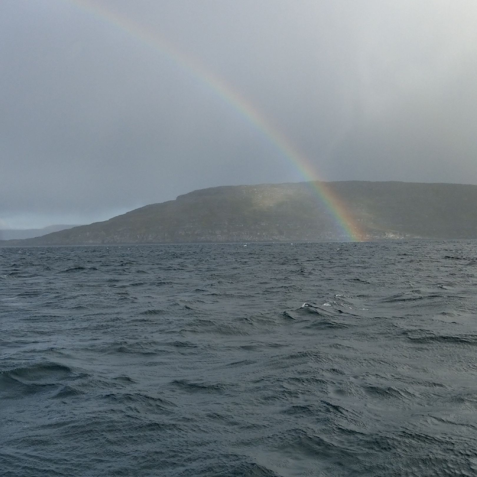 Ingøya angeln