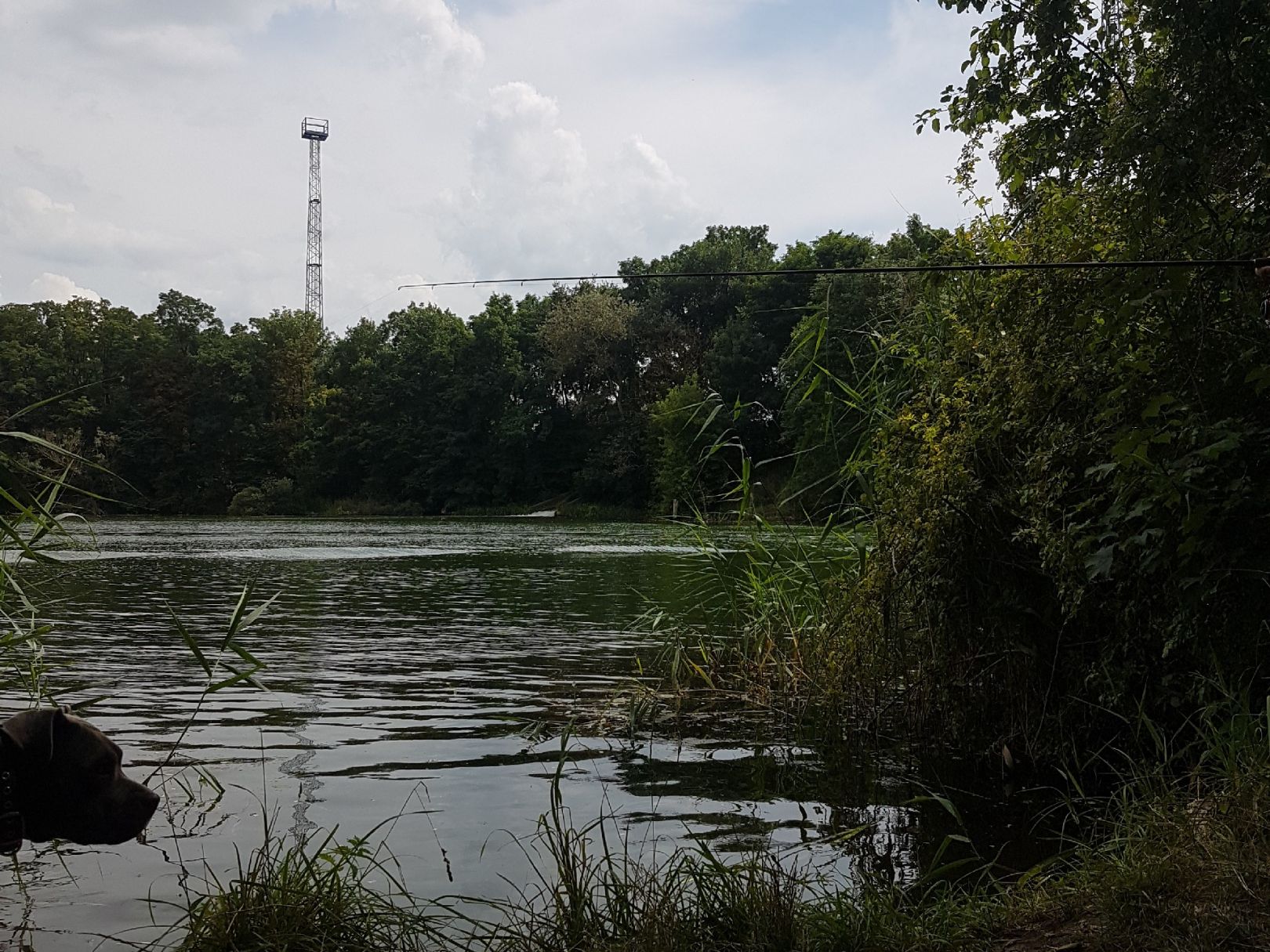 Kriensee (Rüdersdorf) angeln