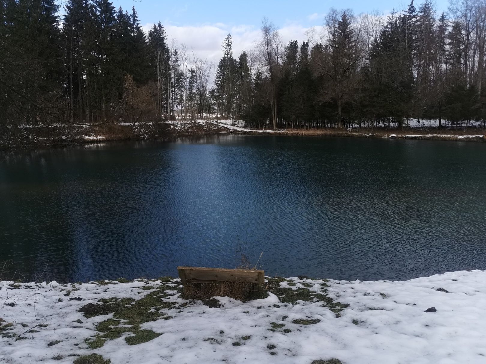 Erlacher Weiher angeln