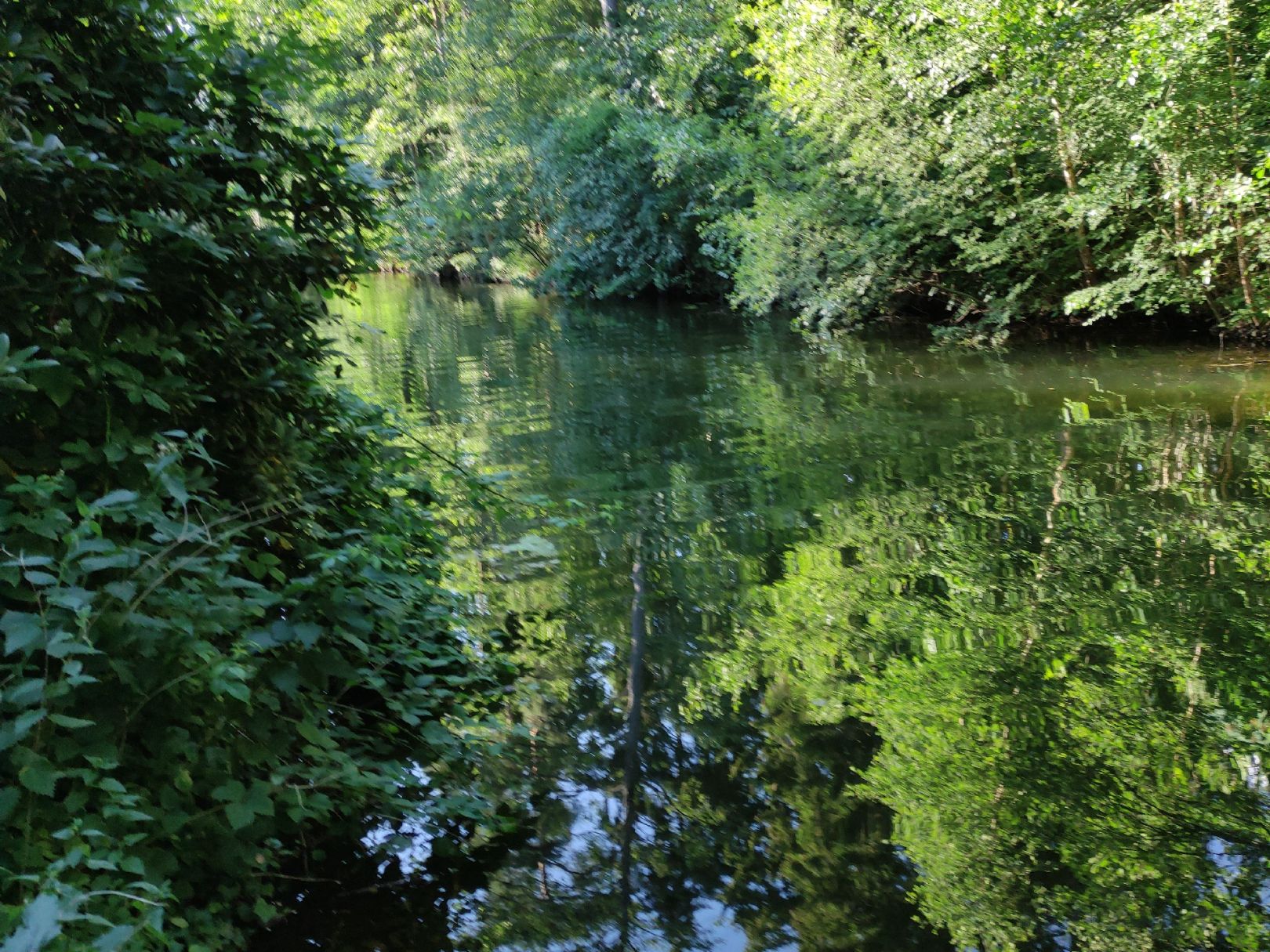 Schaalseekanal angeln