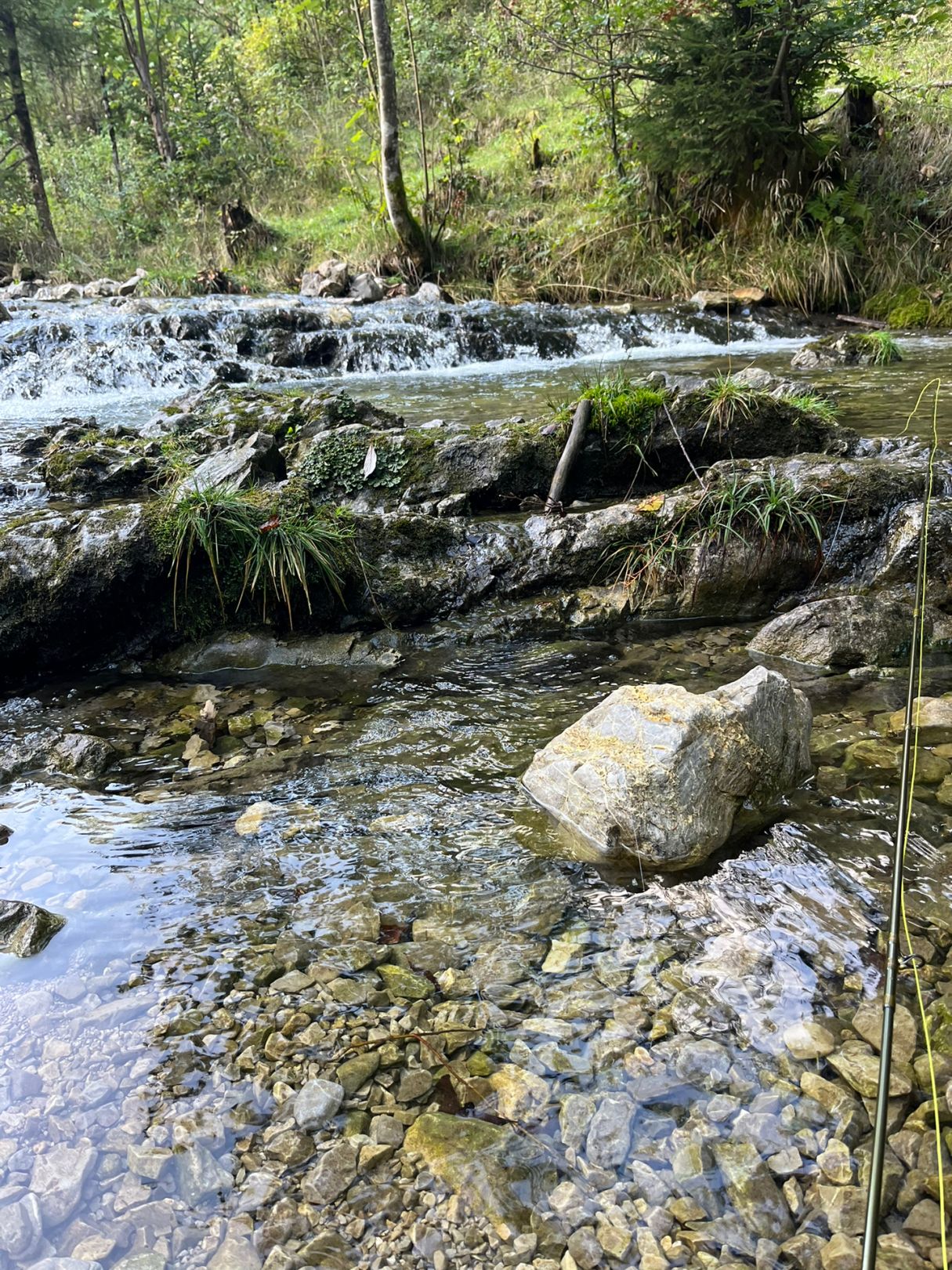 Hachelbach (Schliersee) angeln