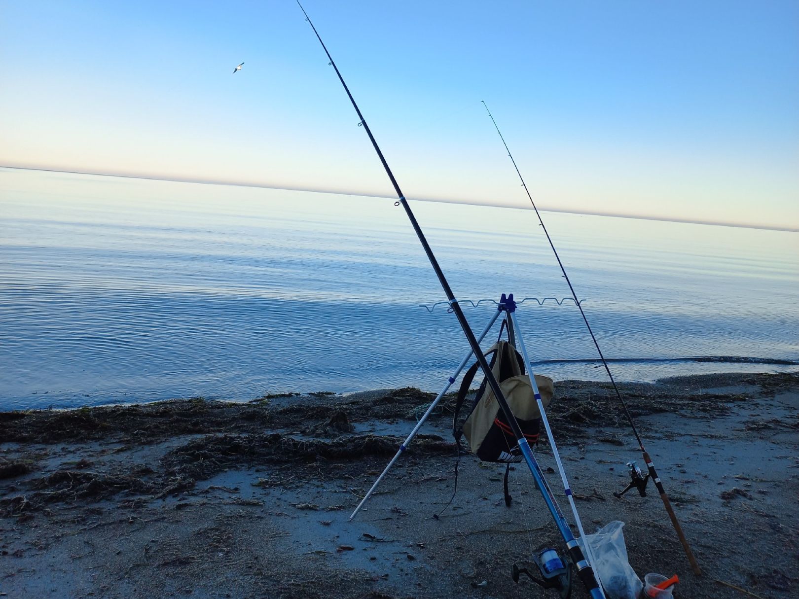 Ostsee (Rerik) angeln