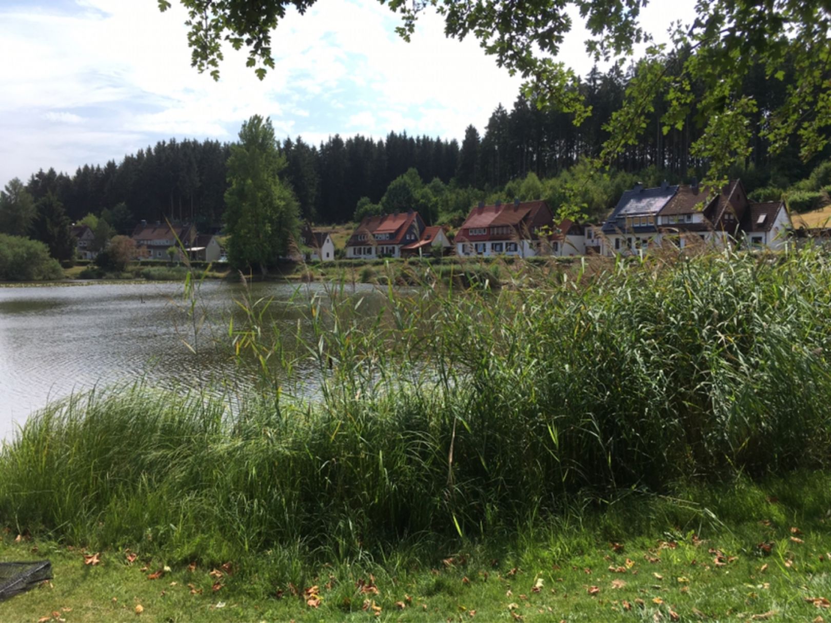 Totemannsteich (Bad Grund) angeln