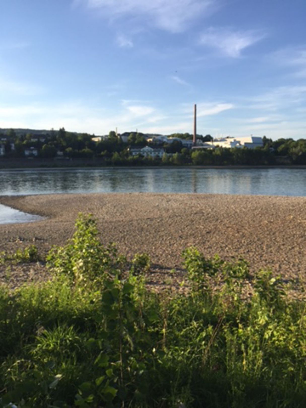 Rheinhafen Andernach angeln