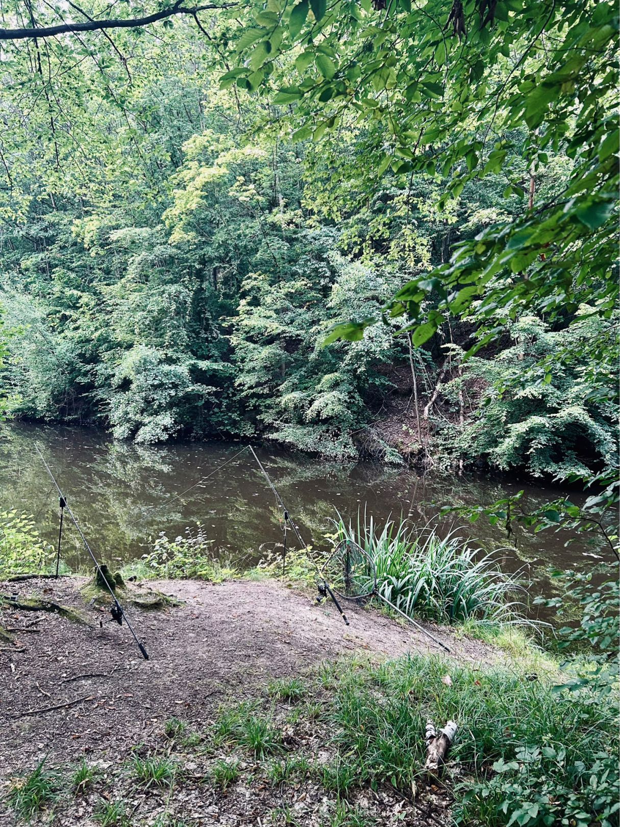 Steinbruch Klippe (Mahlitzsch) angeln