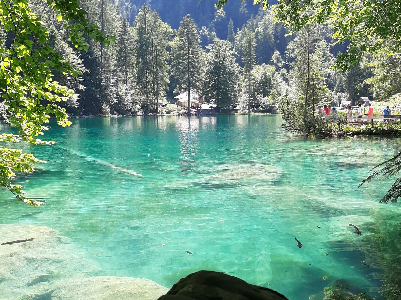 Blausee angeln